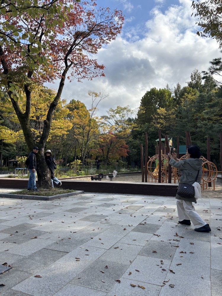 8dc2185c65cd5566c1943dc37867fe88_1761124