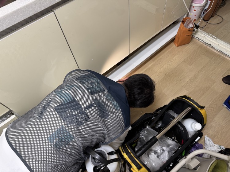 cd824db8c71f00702988e08a31ea6e68_1761294