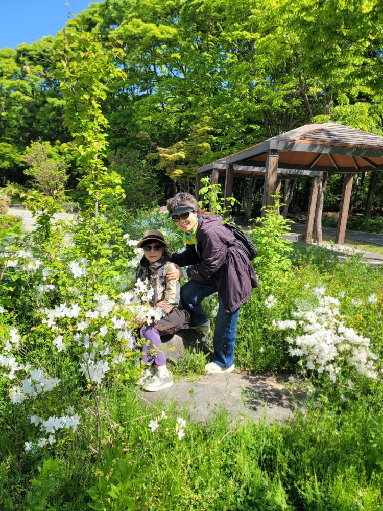 e141e9565192b276f9c8491e34f0296b_1777534